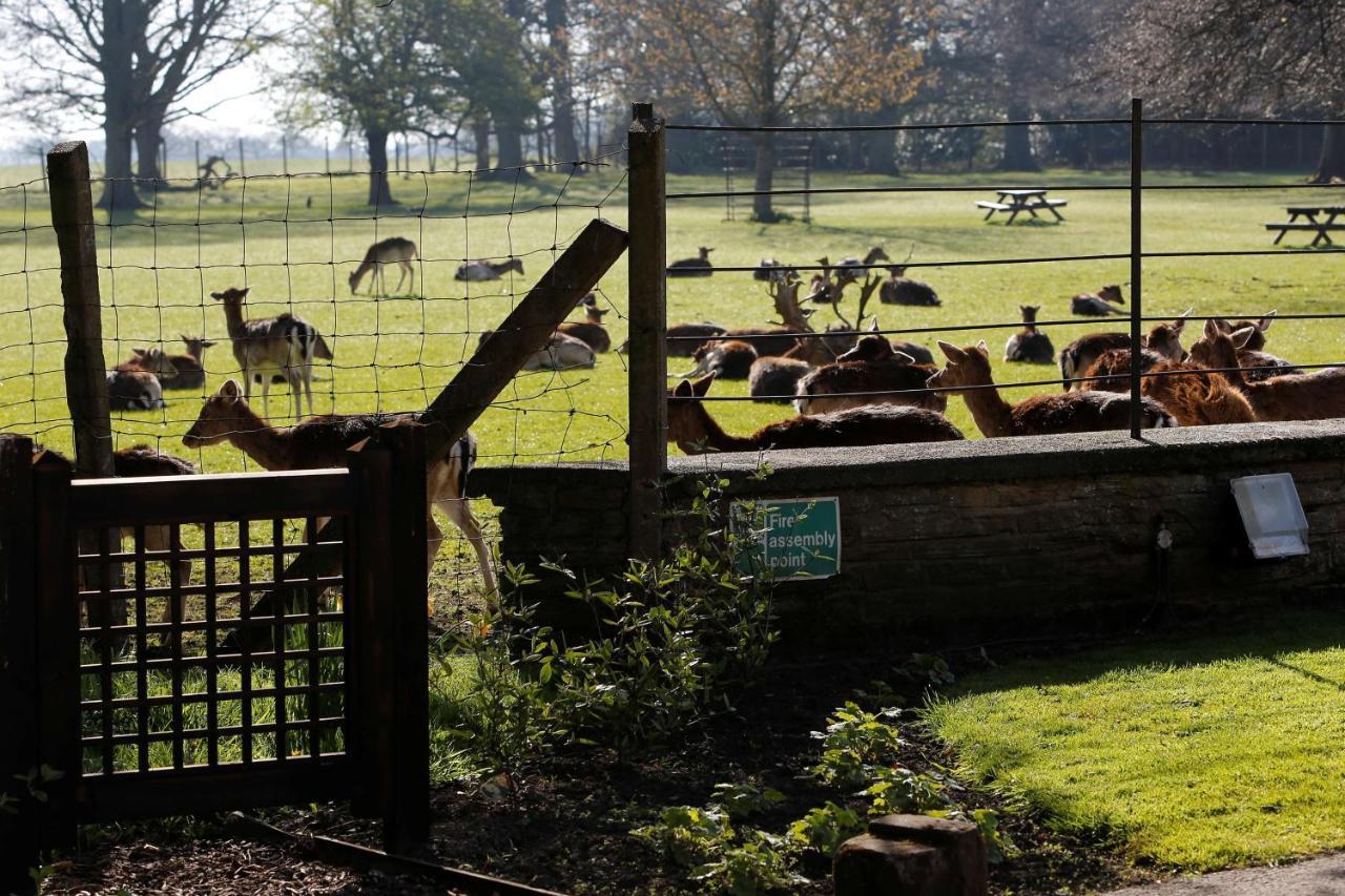 Whitworth Hall Hotel & Deer Park - Durham Spennymoor Luaran gambar