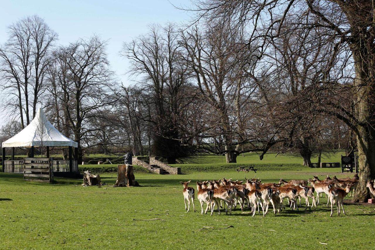 Whitworth Hall Hotel & Deer Park - Durham Spennymoor Luaran gambar
